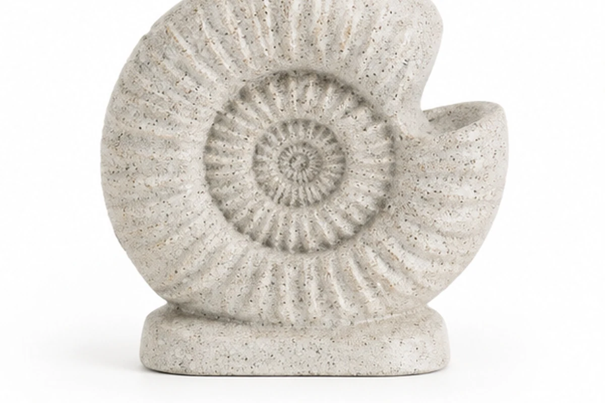 Ammonite Sculpt — view 1