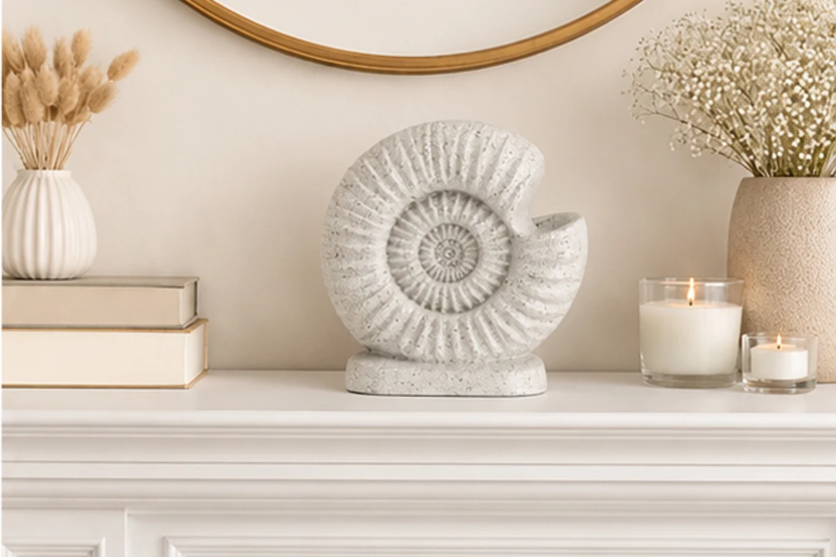 Ammonite Sculpt — view 2