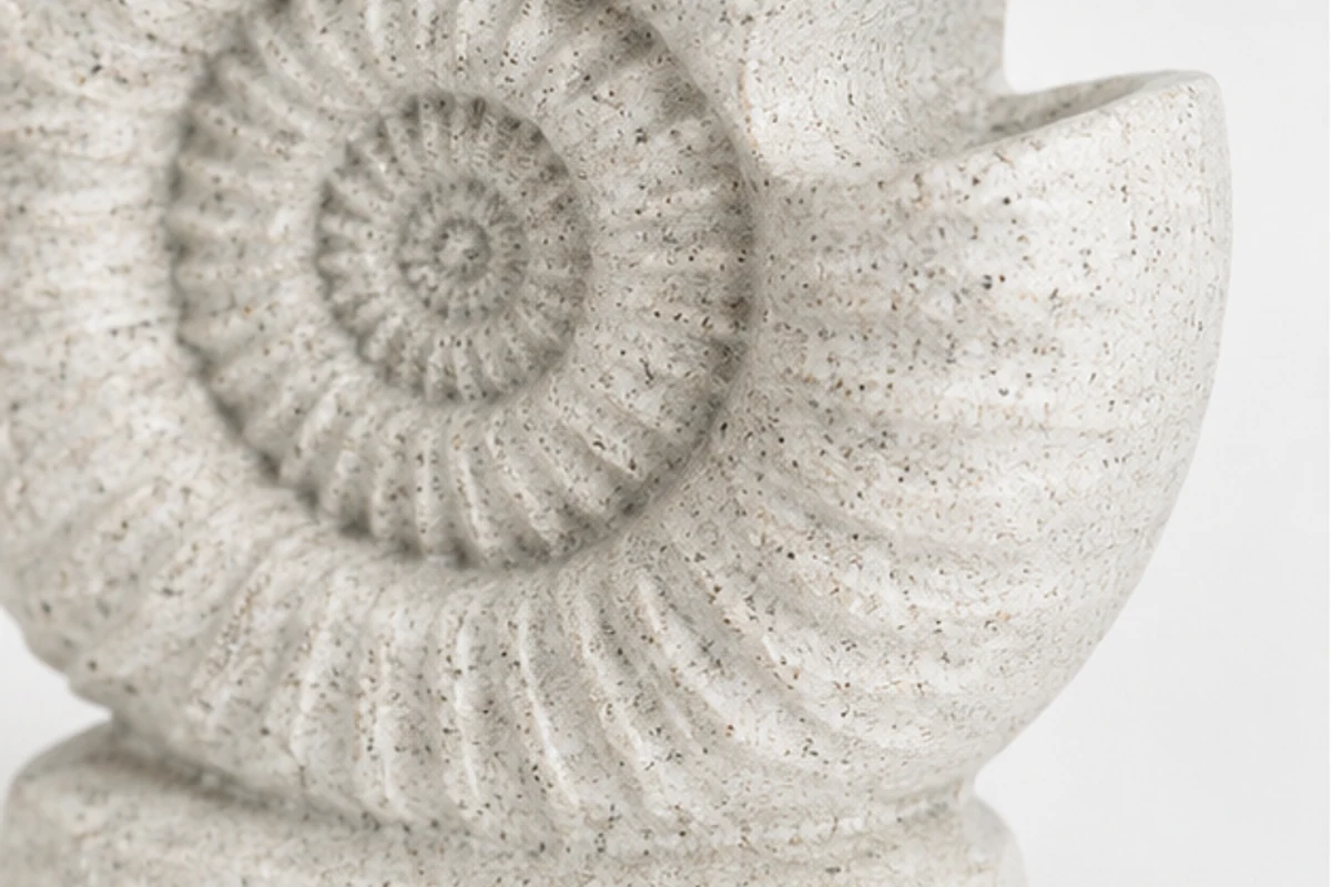 Ammonite Sculpt — view 3