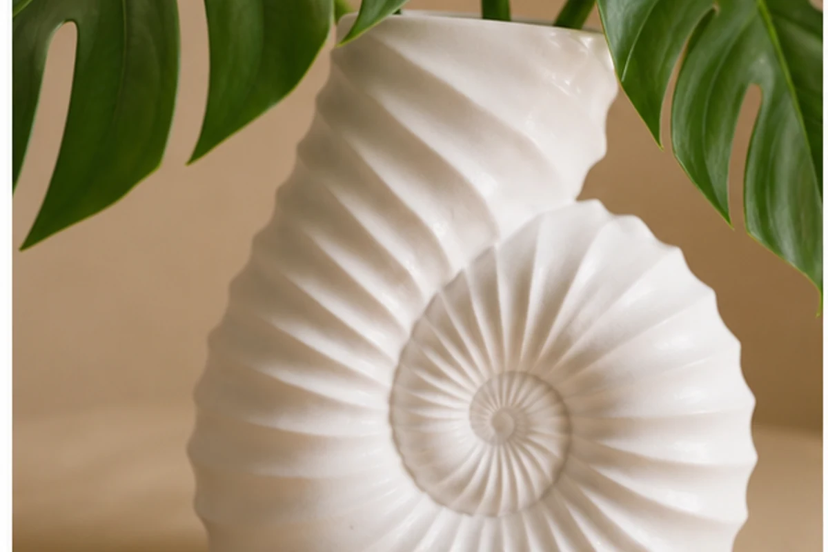 Conch Blare — view 3