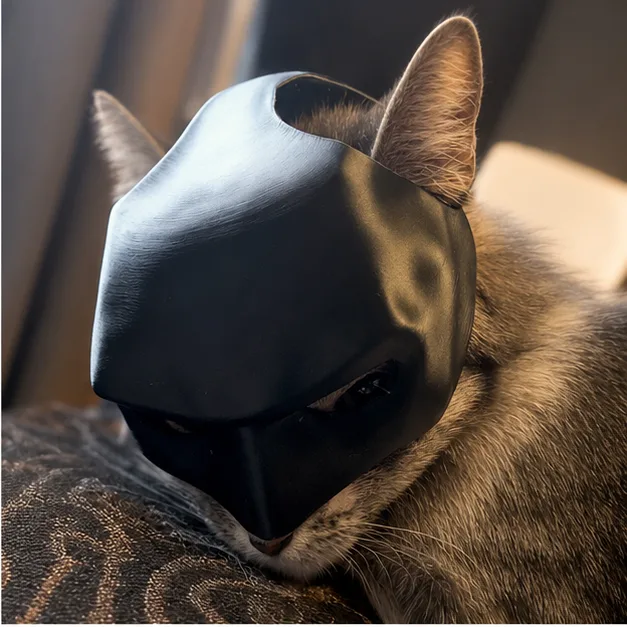 Bat Cat — view 2